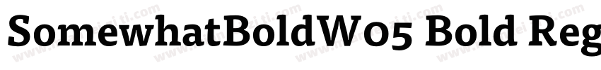 SomewhatBoldW05 Bold Regular字体转换